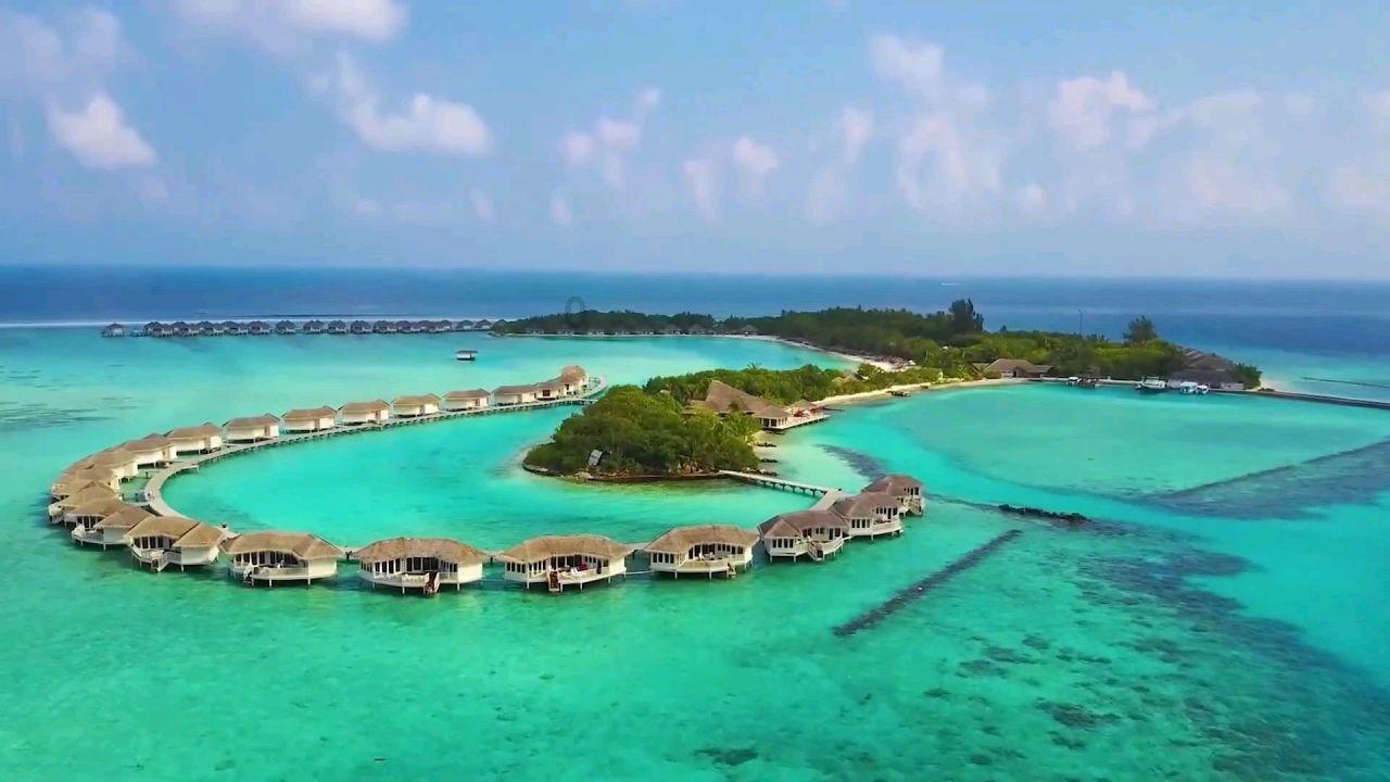 海底世界填颜色5